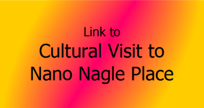 Cultural Visit to Nano Nagle Place